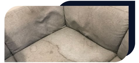 Use a Stain Guard to Protect your Sofa